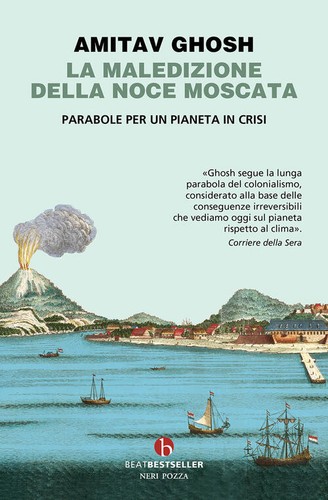 Maledizione della noce - maledizione,